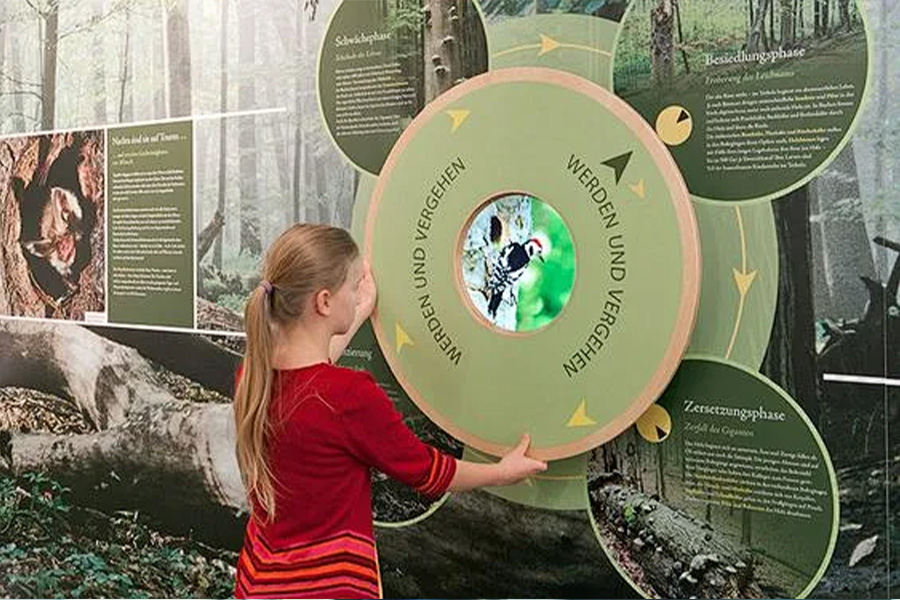 Изучение экономического влияния лесного хозяйства на местные сообщества
